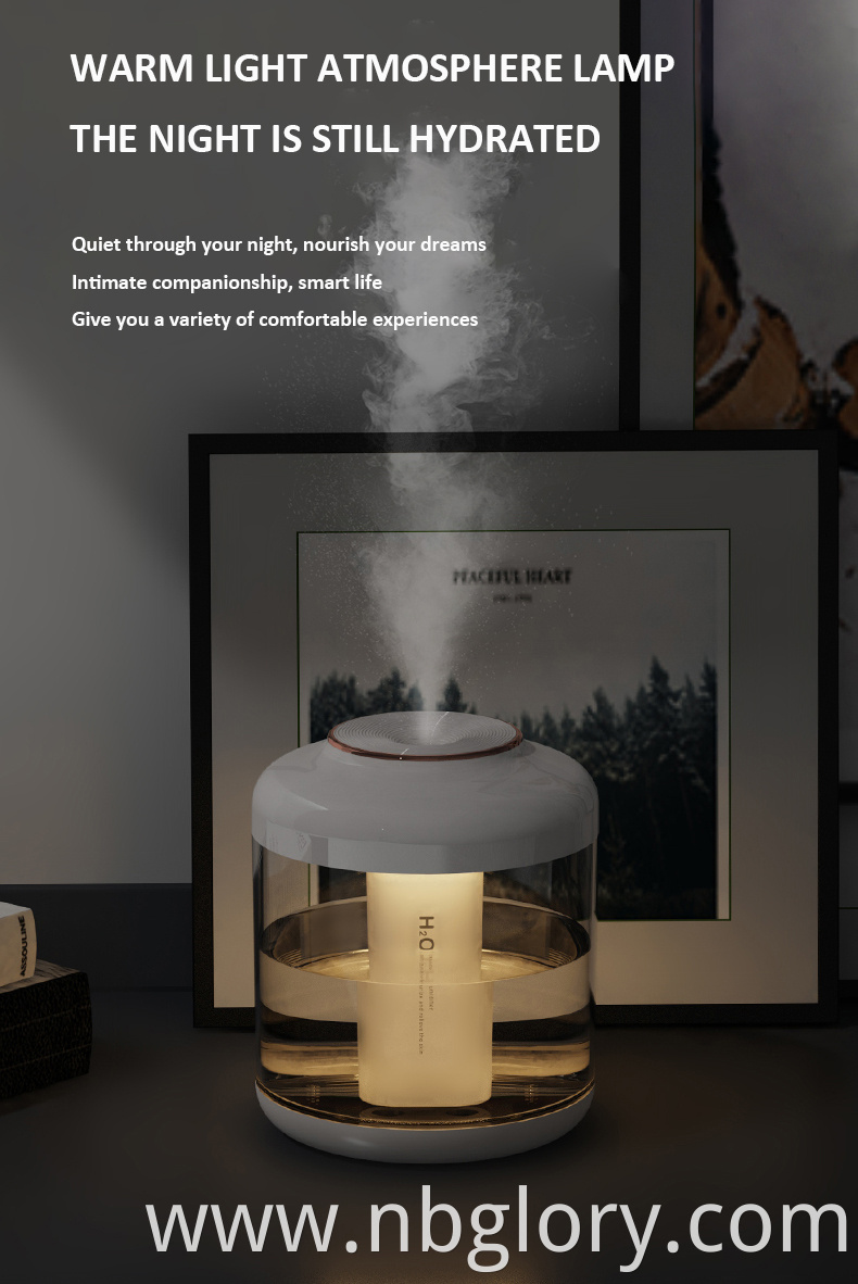 humidifier diffuser